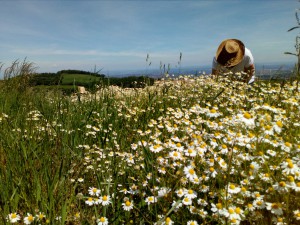 IMG_20170524_145920_3